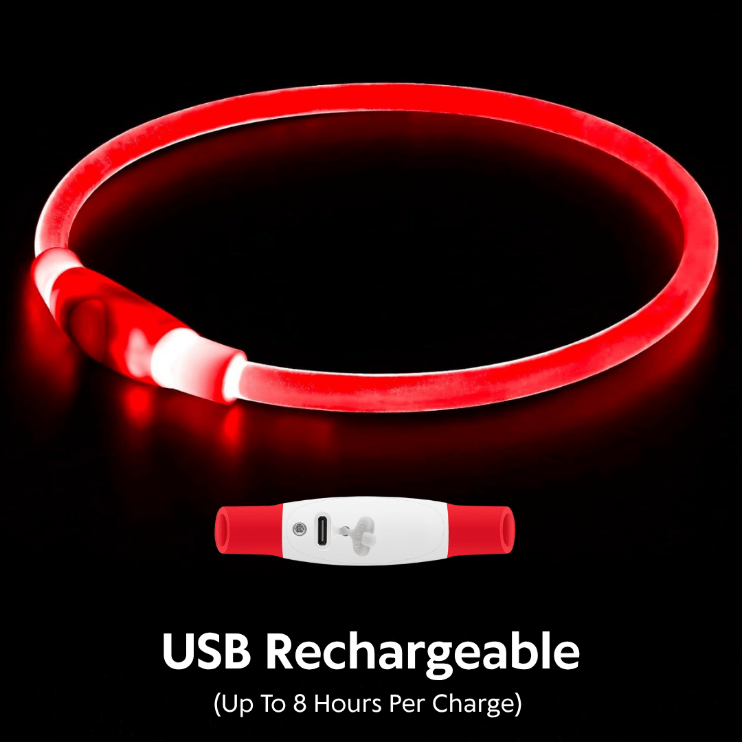 Collare Luminoso per Cani